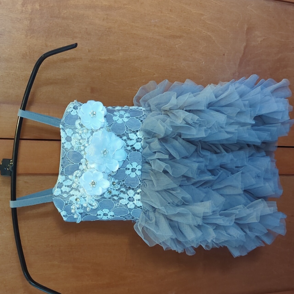 Sweet Girl Toddler Daisy Tulle Dress 2T
